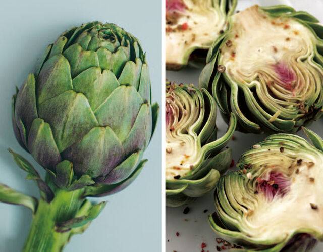 아티초크. 게티이미지뱅크