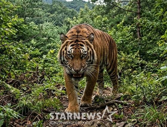 /사진=AI로 생성된 이미지