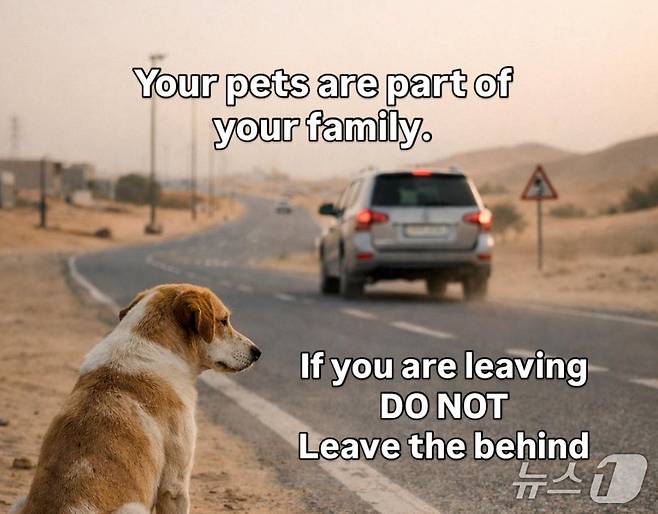 유기견 재입양 단체인 'K9 프렌즈 두바이'가 이란 전쟁으로 피난하는 과정에서 반려동물을 유기하지 말 것을 당부하고 있다. (출처=K9 프렌즈 두바이 페이스북) 2026.3.11./뉴스1