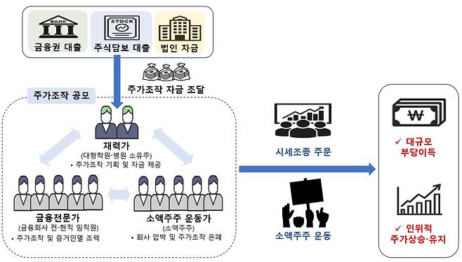 합동대응단 1호 사건 개요(금융위원회 제공). ⓒ 뉴스1