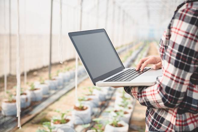 게티이미지뱅크