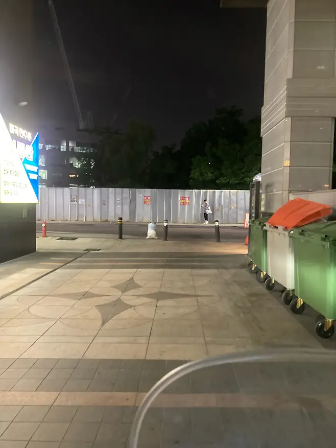 image.png 길거리에 쪼그려앉아 울고있는 대한항공 승무원.jpg