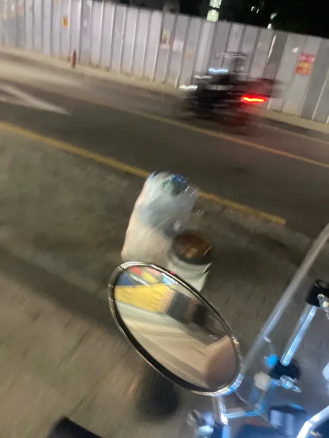 image.png 길거리에 쪼그려앉아 울고있는 대한항공 승무원.jpg