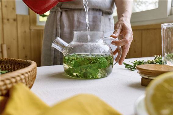 가정의학과 전문의 패트리샤 바라칼로 박사는 레몬밤 차의 효능과 주의할 점을 소개했다./사진=클립아트코리아