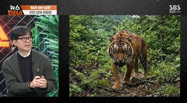 사진=SBS ‘뉴스헌터스’ 캡처