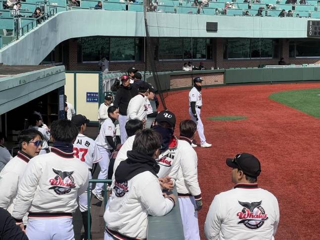 울산웨일즈 선수들이 연습경기를 치르고 있다. /사진=울산웨일즈 제공