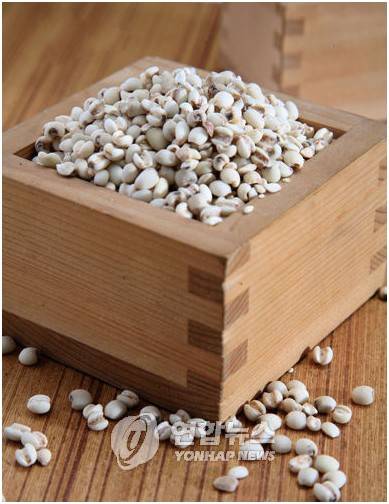 율무 [연합뉴스 자료사진]