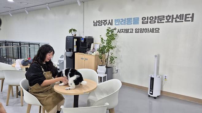 ▲ 남양주시반려동물입양문화센터 직원이 유기견을 돌보고 있다.