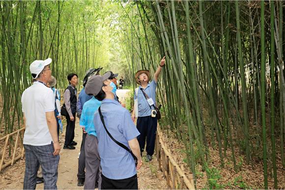 달성투어버스 '미술관 옆 동물원'  [사진=달성군]