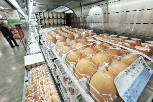 서울의 한 대형마트 계란 판매대 모습. 연합뉴스