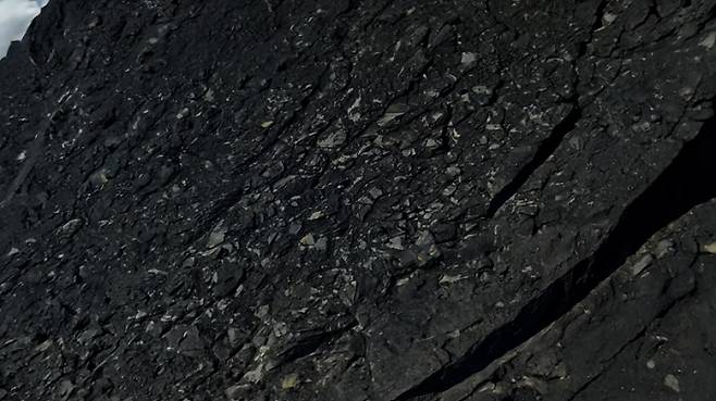 (출처=모션엘리먼츠)