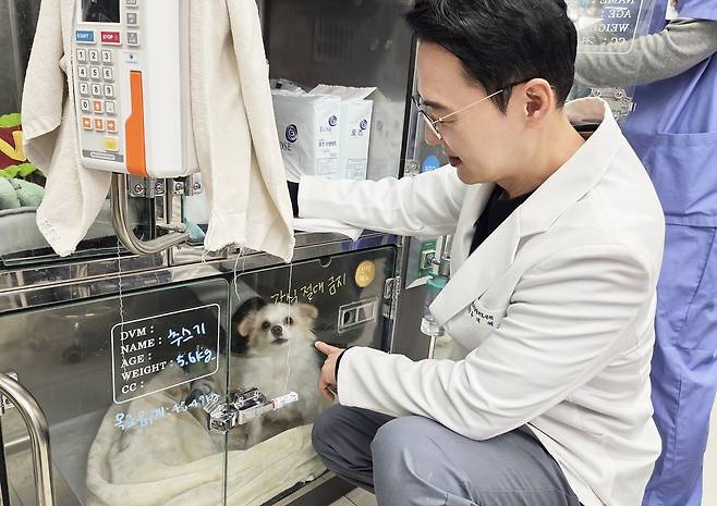 유제혁 원장이 입원한 동물들의 상태를 살펴보고 있다. ⓒ 뉴스1