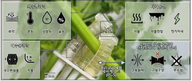 완전 퇴비화 가능한 소프트 로봇 시스템. 연구팀 제공