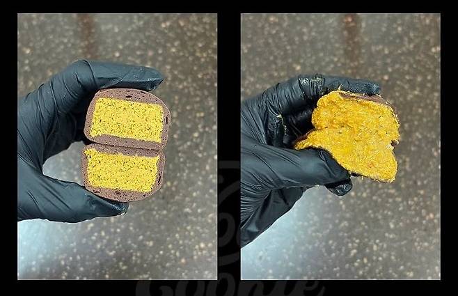 /사진=몬트쿠키 SNS 갈무리