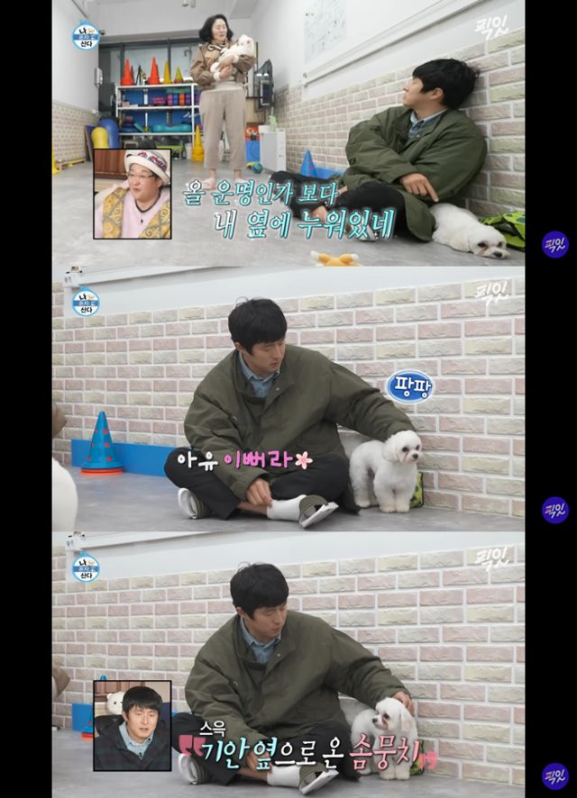 유튜브채널 픽잇 캡처