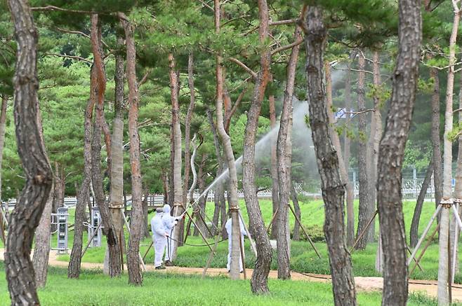 병해충 피해 예방. 청송군 제공&nbsp;
