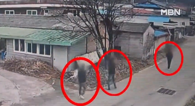 사진=MBN 보도화면 캡처