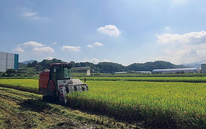 농지를 잘 관리하고 지키는 건 식량안보에 직결된 문제다.[사진｜뉴시스]