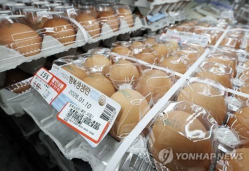 AI에 달걀 수급 문제 [연합뉴스 자료사진]