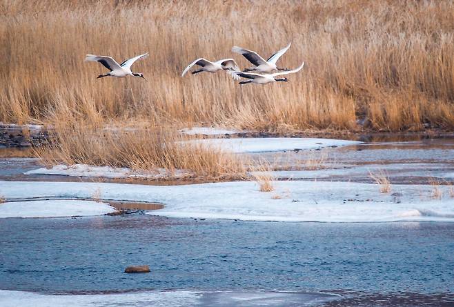 (이현숙 여행작가)