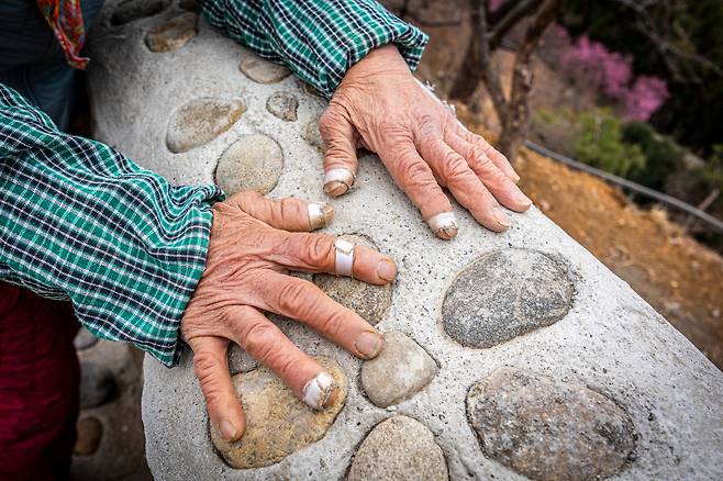 돌계단 양옆으론 돌담을 쌓았다. 하나하나 돌로 매화 꽃잎도 수놓았다. 홍쌍리 명인의 손엔 돌계단 쌓다 생긴 상처가 아직 아물지도 않았다. / 이신영 영상미디어 기자