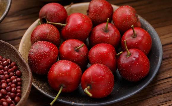 산사. [사진=픽사베이 ]