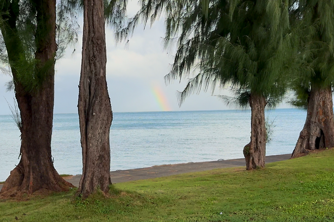 바다 위로 떠오른 무지개/사진=김지은 여행+ 기자