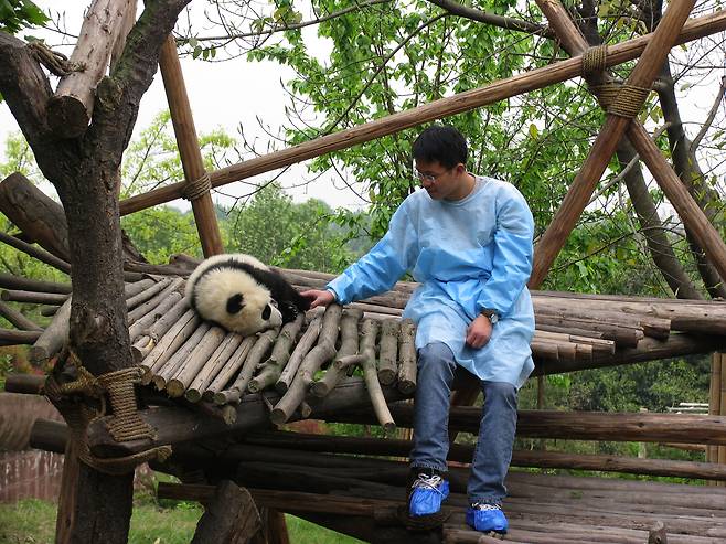 중국 청두 판다 번식 연구 기지 직원과 판다[WWF 제공]