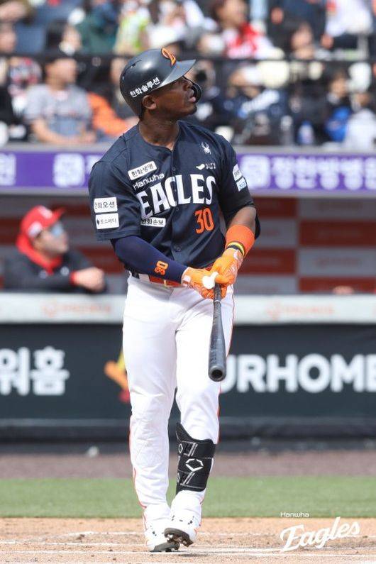 한화 이글스 제공