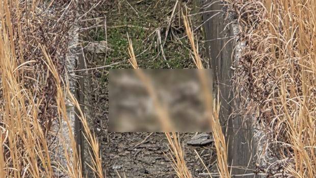 15일 무안국제공항 유도로 내 배수로에서 발견된 희생자 유해추정 백골.