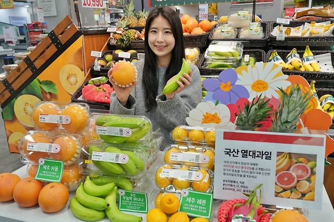 국산 열대·아열대 과일 홍보 이미지.(사진출처=롯데마트)