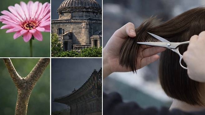 자연과 건축에서 발견한 형태의 질서를 헤어 디자인 원리로 정리한 9개의 쉐이프 개념을 설명하는 이미지.