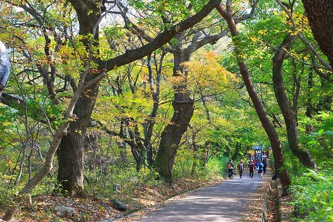 충남 계룡산 / 사진 = 한국관광공사
