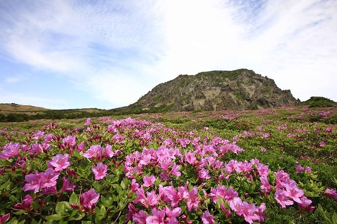제주 한라산 / 사진 = 한국관광공사