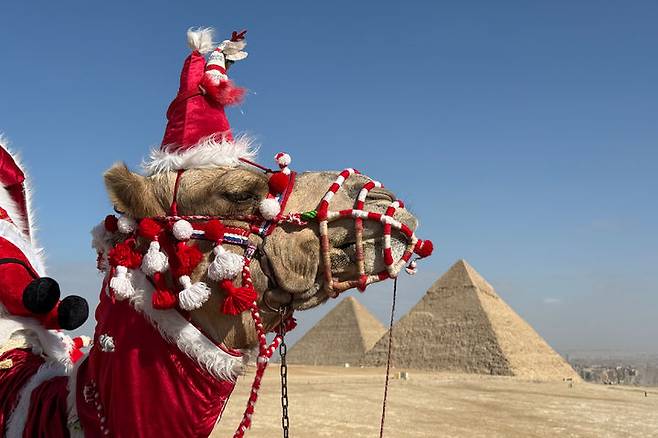 [기자=AP/뉴시스] 29일(현지 시간) 이집트 카이로 외곽 기자 피라미드 유적지에서 산타 장식을 한 낙타가 관광객을 기다리고 있다. 2025.12.30.