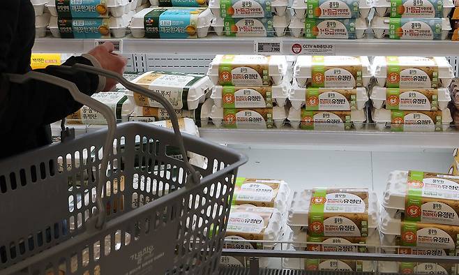 서울의 한 대형마트에 달걀이 진열돼 있다. 연합뉴스