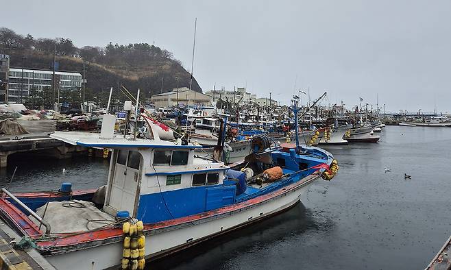 13일 경북 울진군 후포항에 조업을 나가지 않은 어선들이 정박해 있다.&nbsp;이영균 기자