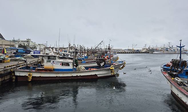 13일 경북 울진군 후포항에 조업을 나가지 않은 어선들이 정박해 있다.&nbsp;이영균 기자