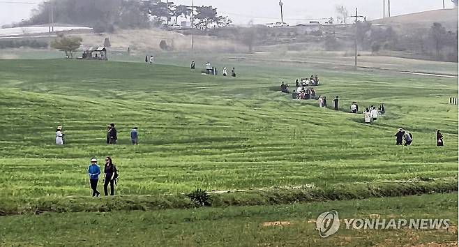 고창 학원농장 청보리밭 (고창=연합뉴스) 최영수 기자 = 관광객들이 20일 청보리밭 축제가 펼쳐지는 전북 고창군 공음면 학원농장 청보리밭 일대를 걷고 있다. 학원농장 청보리밭은 넷플릭스 드라마 '폭싹 속았수다'의 촬영지다. 2025.4.20 kan@yna.co.kr