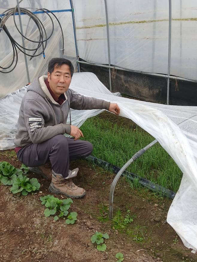 전남 함평군 나산면에서 유기농 냉이를 재배하고 있는 정성욱 씨. /전남도 제공