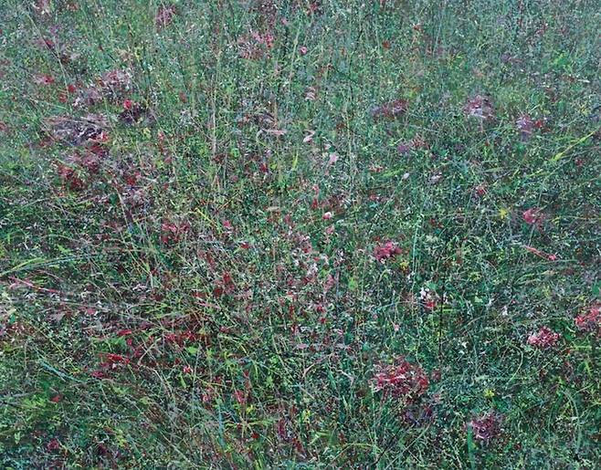 주한경작 Melody-1014