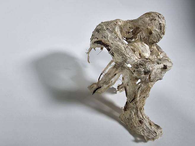 재이 작 탈피 (다시살아가다)