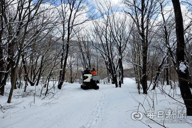 나리분지에서 만나 설상차. 주민들이 고로쇠 운반에 이용하고 있다.조준호 기자