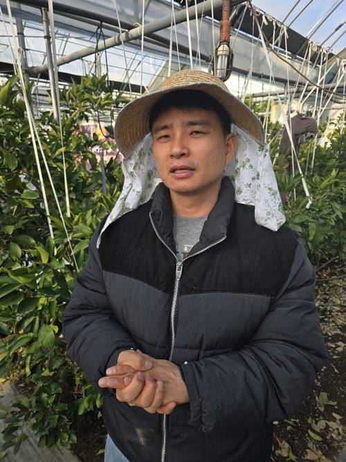 지난 5일 대구 동구 둔산동 아열대 농장에서 만난 손효동 대표가 아열대 작물 재배 과정을 설명하고 있다. 김현목기자