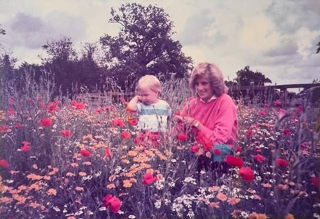 사진 인스타그램