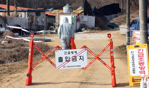 지난달 20일 아프리카돼지열병(ASF)이 발생한 경기도 평택시 한 돼지농장에서 관계자들이 출입을 통제하고 있다. [연합뉴스]