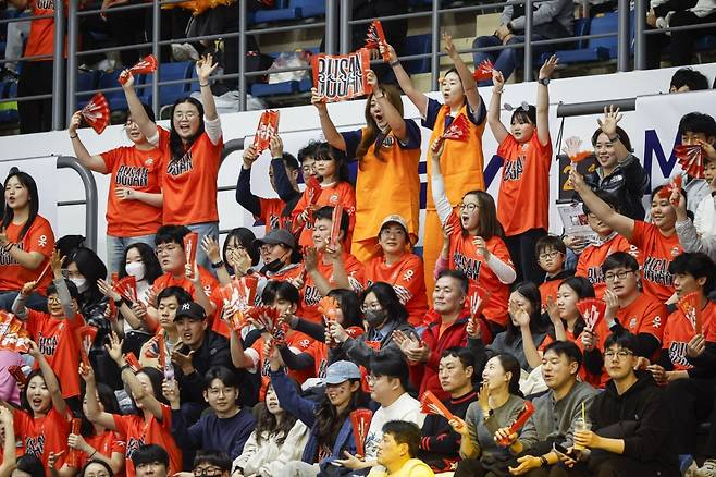 강서실내체육관을 찾은 부산 OK 저축은행 팬들. /사진=OK저축은행 배구단 제공