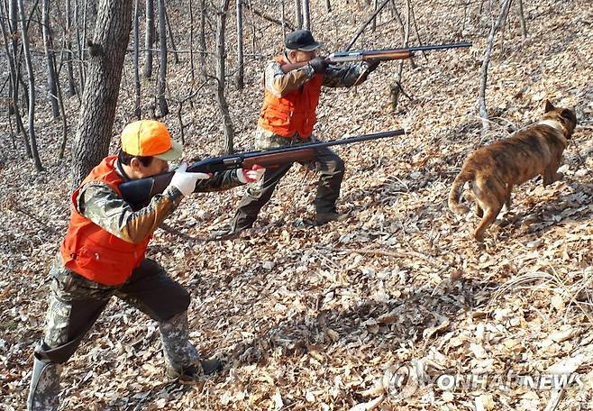 유해 야생동물 피해방지단 [연합뉴스 자료사진]