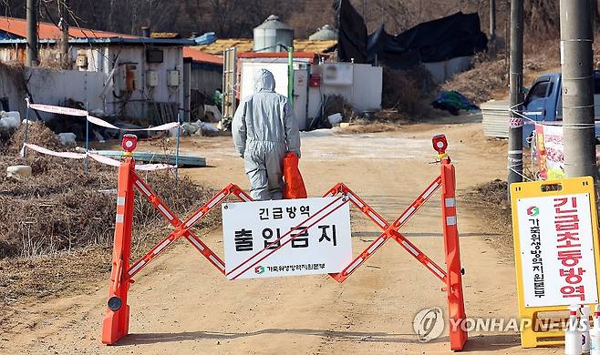 평택 돼지농장서 아프리카돼지열병 발생 (평택=연합뉴스) 권준우 기자 = 20일 아프리카돼지열병(ASF)이 발생한 경기도 평택시 한 돼지농장에서 관계자들이 출입을 통제하고 있다.2026.2.20 stop@yna.co.kr