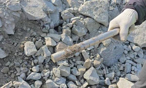 자성봉에 달라붙은 강섬유.